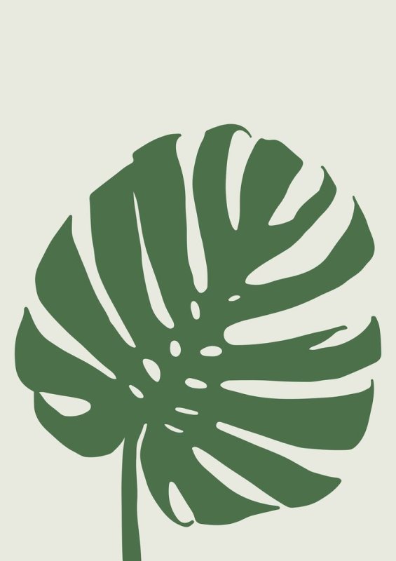 Monstera Leaf контур