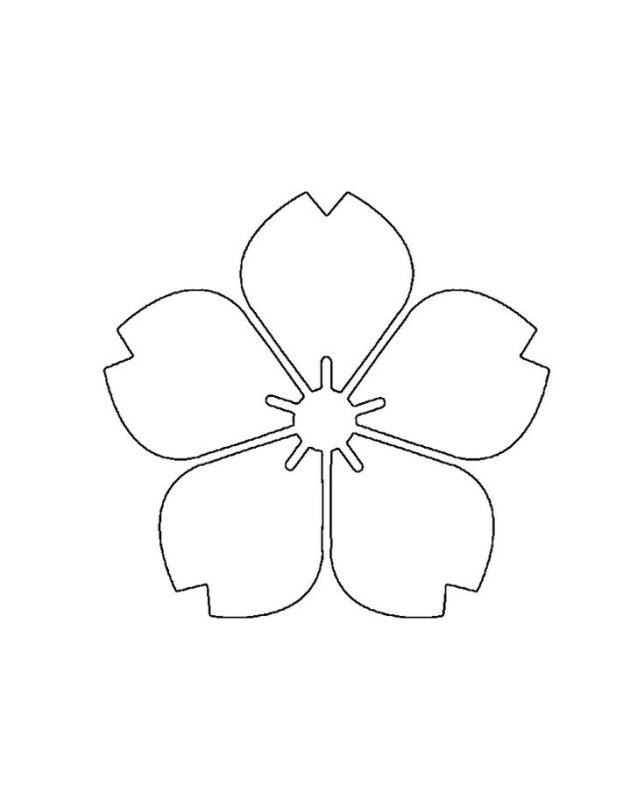 Цветы шаблоны для рисования