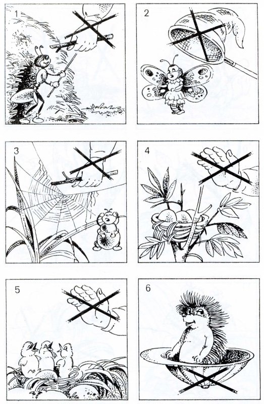 Раскраска поведение на природе