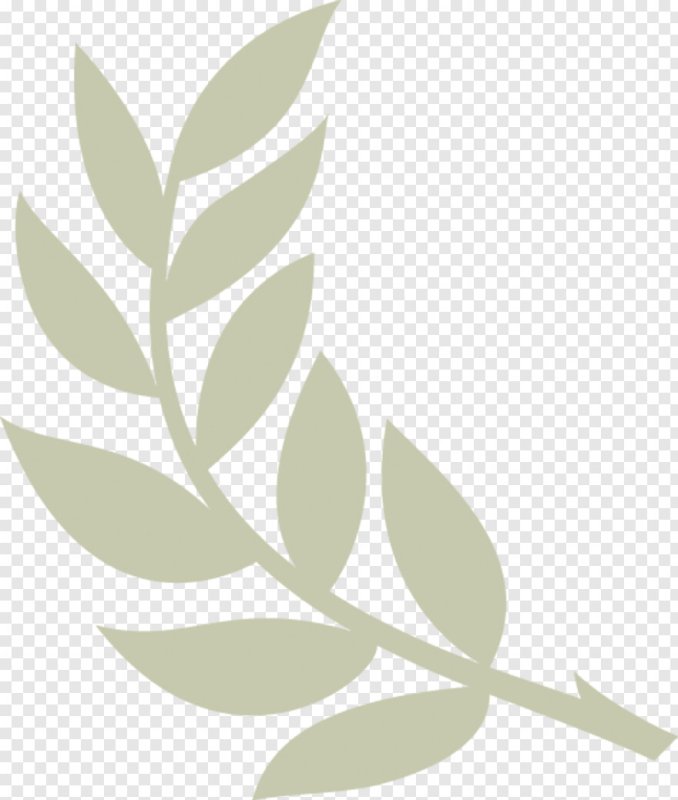 Трафарет веточки с листьями