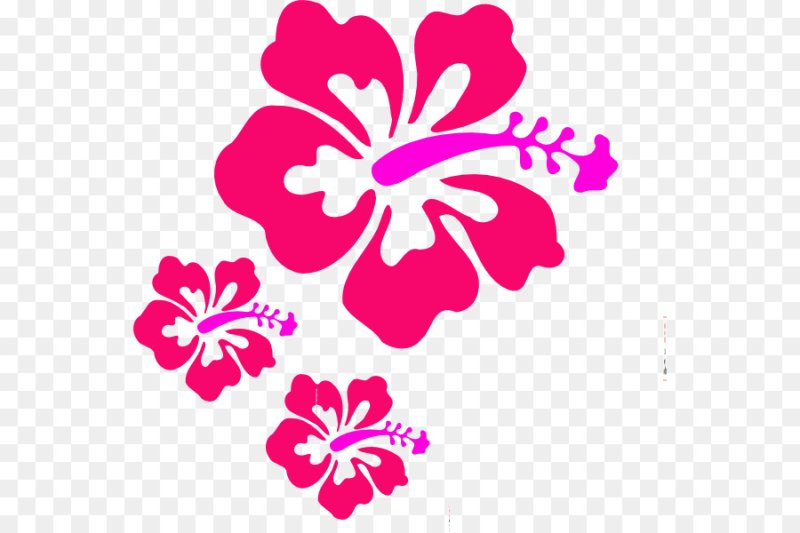 Цветы клипарт