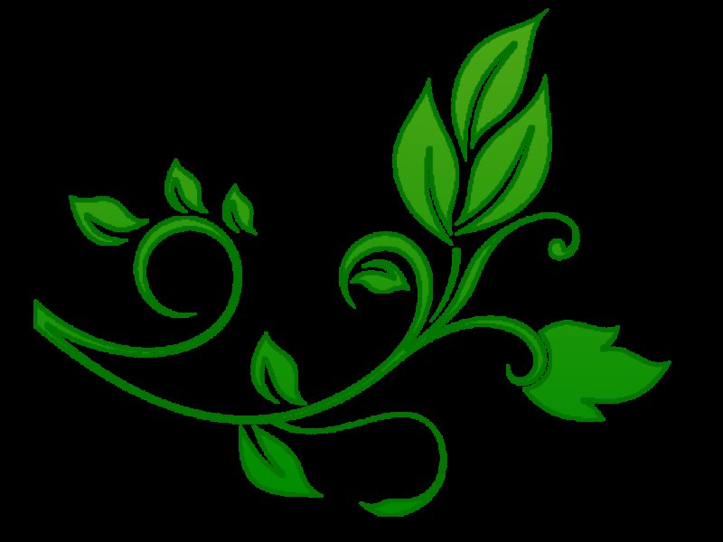 Растительный узор