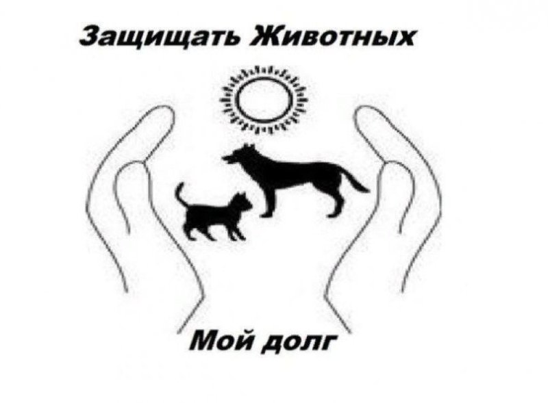 Защитим животных