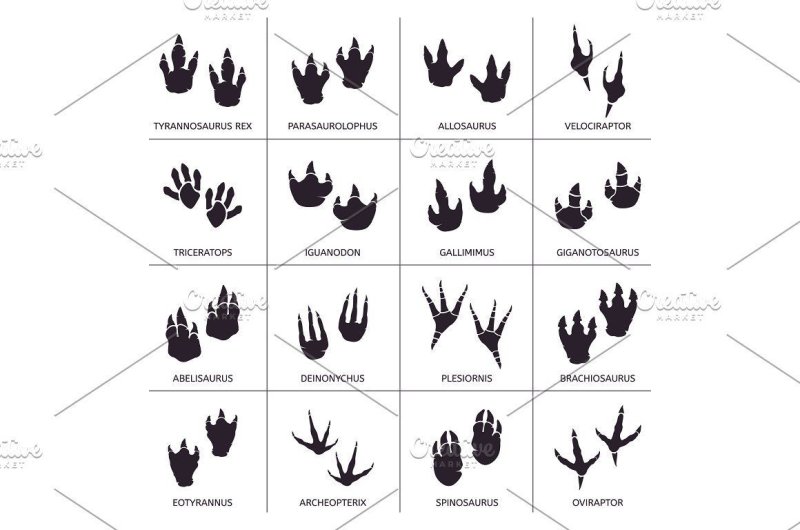 Динозавры следы плоттер