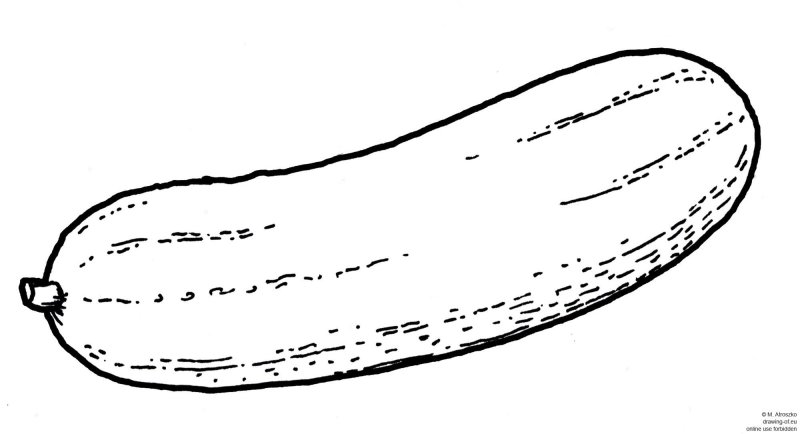 Огурец раскраска