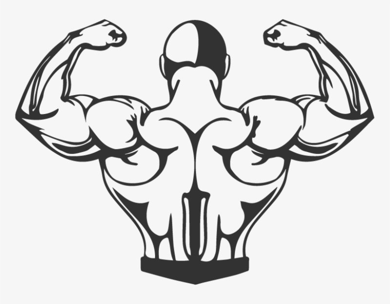 Силуэты бодибилдеров