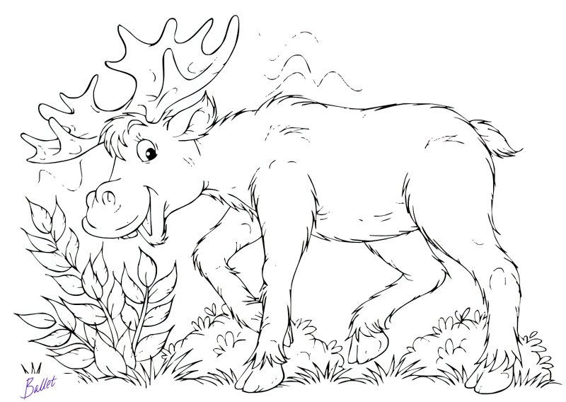 Лосенок раскраска для детей