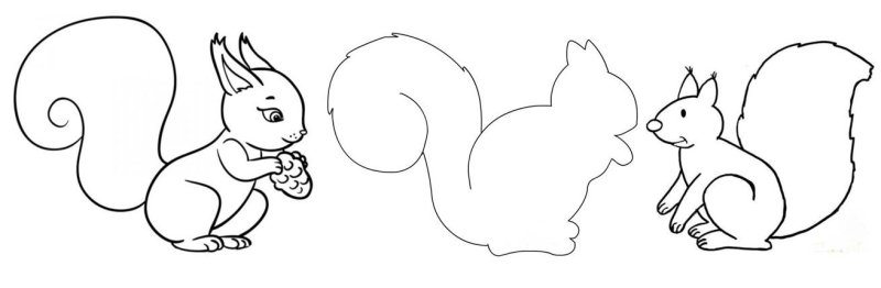Трафарет белки для рисования