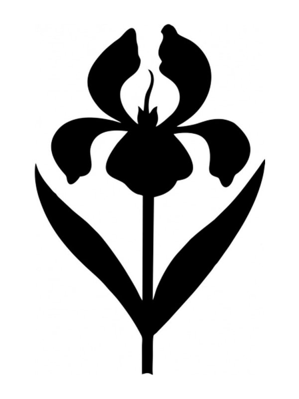 Ирис трафарет