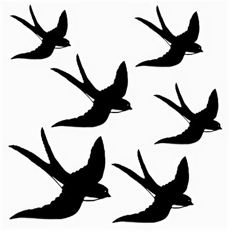 Трафарет птицы на стену