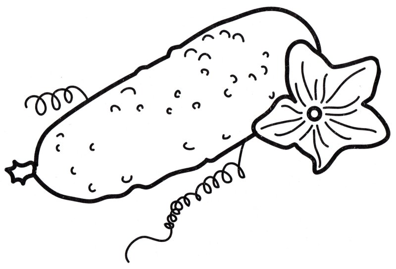 Огурец картинка раскраска