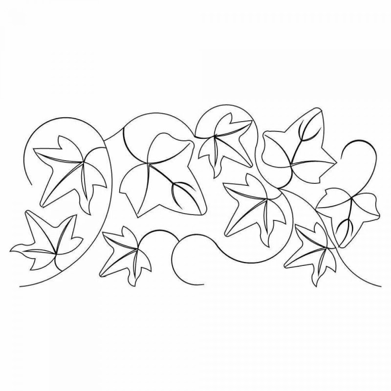 Листья лианы