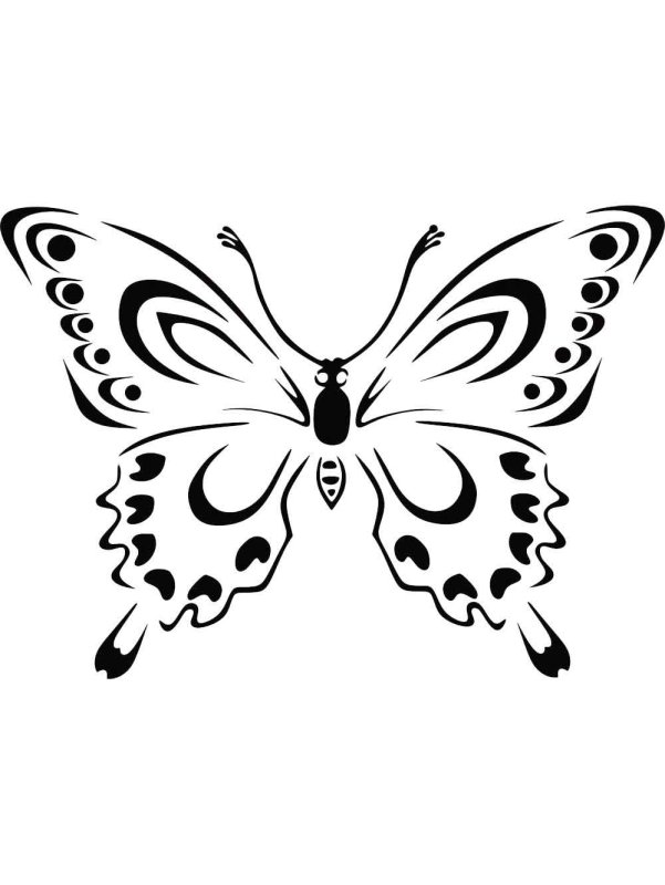 Трафареты бабочек для декора