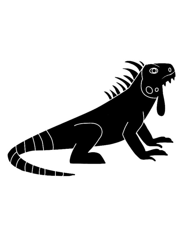 Игуана иллюстрация