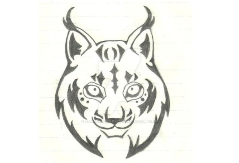 Рысь рисунок