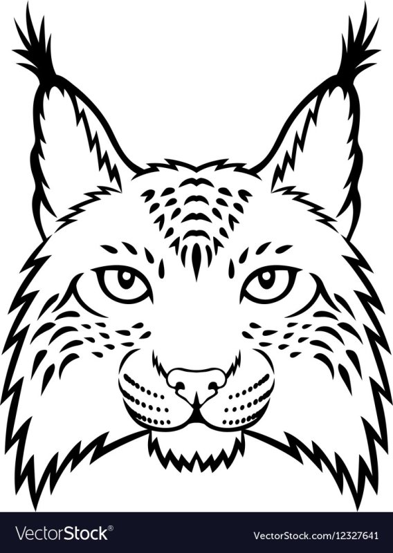 Трафарет Рысь