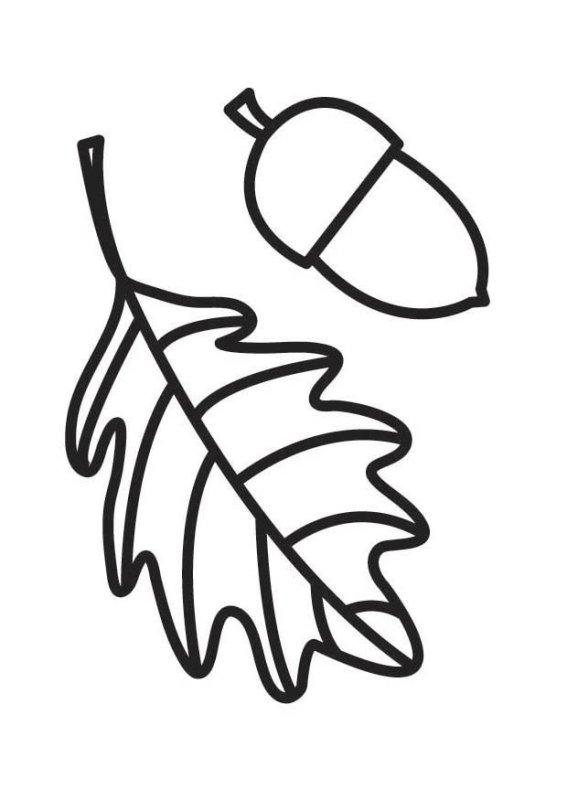 Дубовый лист раскраска