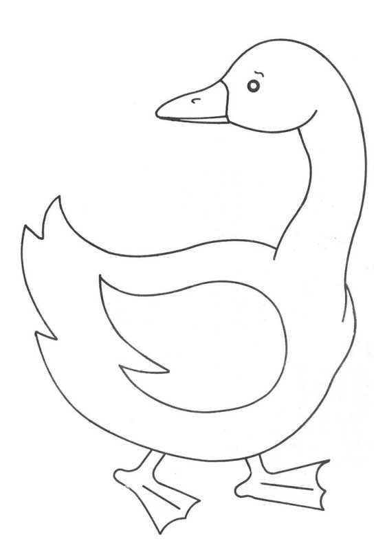 Гусь раскраска для малышей