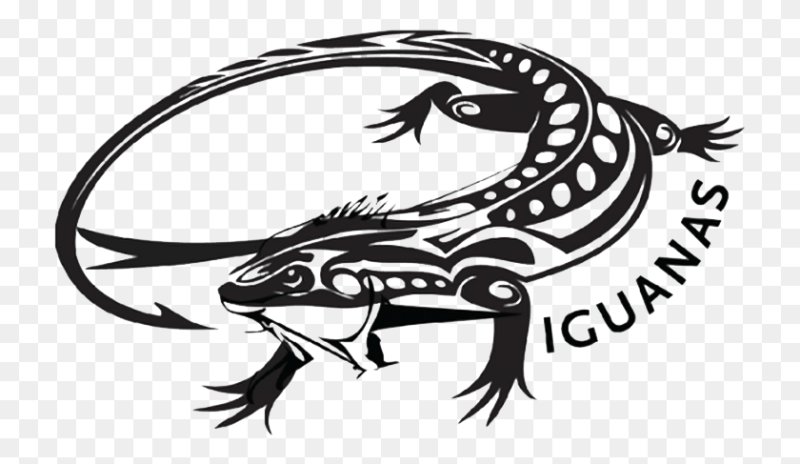Игуана эскиз