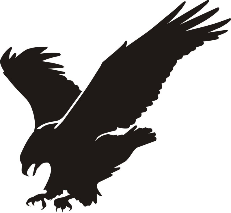 Силуэт ястреба