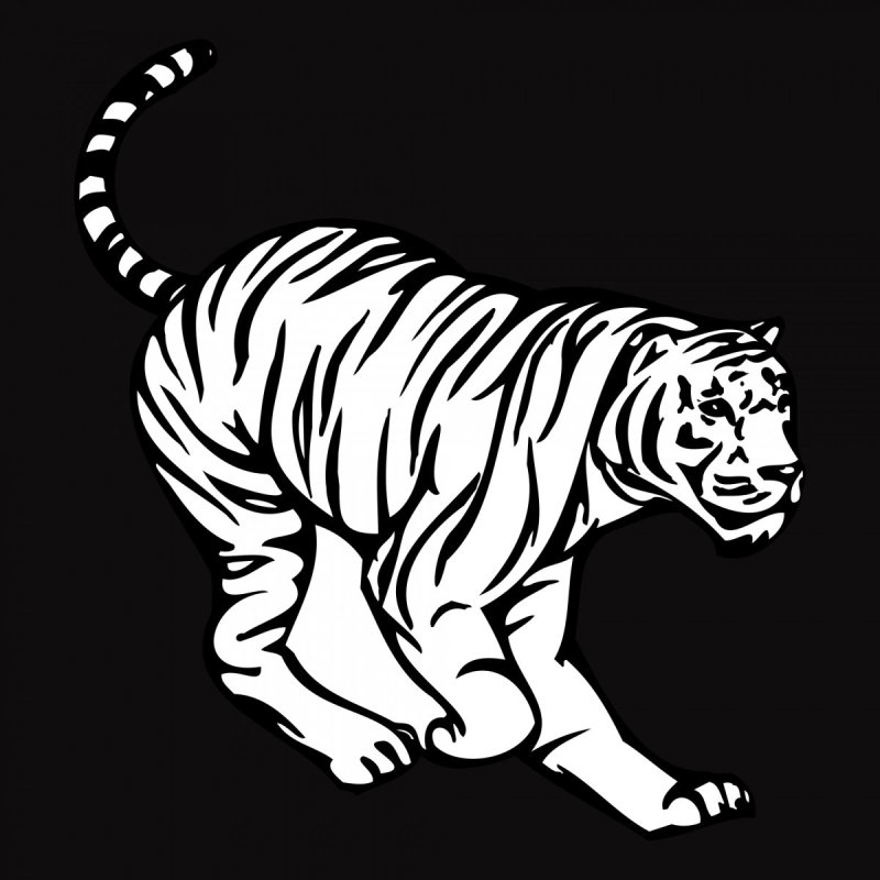 Тигр трафарет