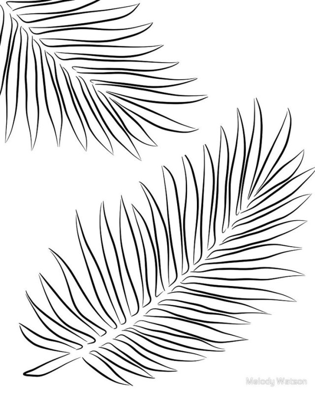 Тропические листья