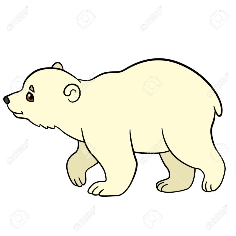 Контур медведя сбоку