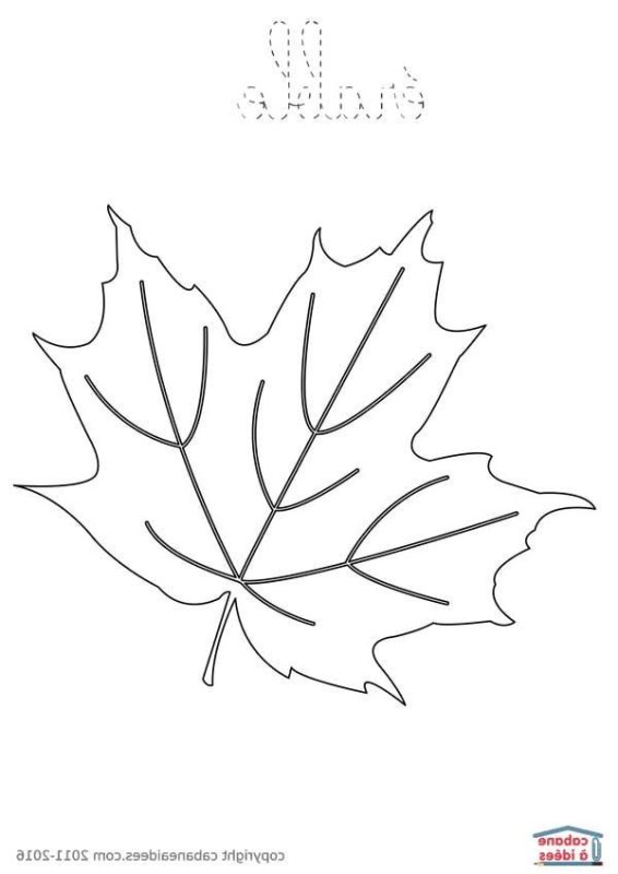 Кленовый лист для раскрашивания