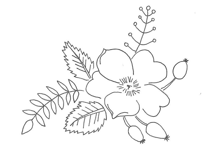 Цветы для вышивания гладью