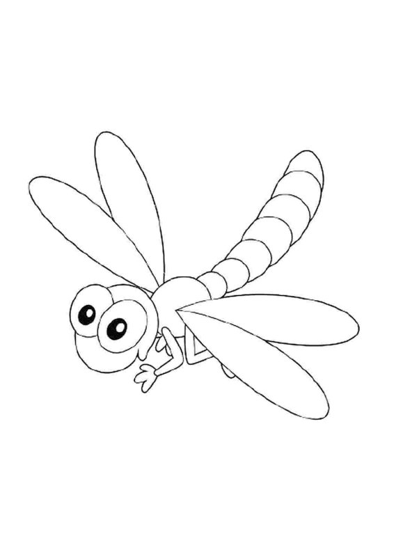 Стрекоза раскраска