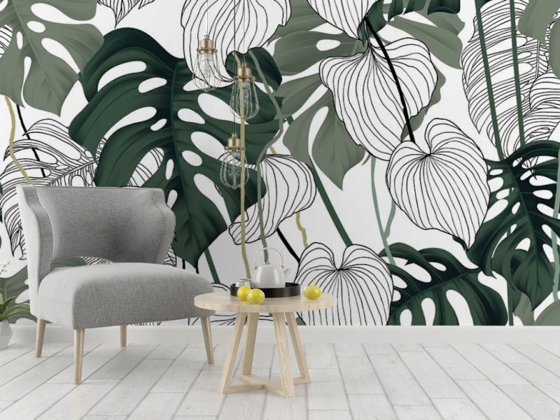 Фотообои монстера