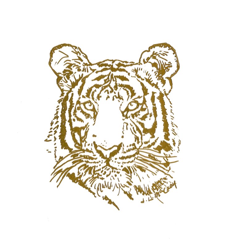 Тигр векторный