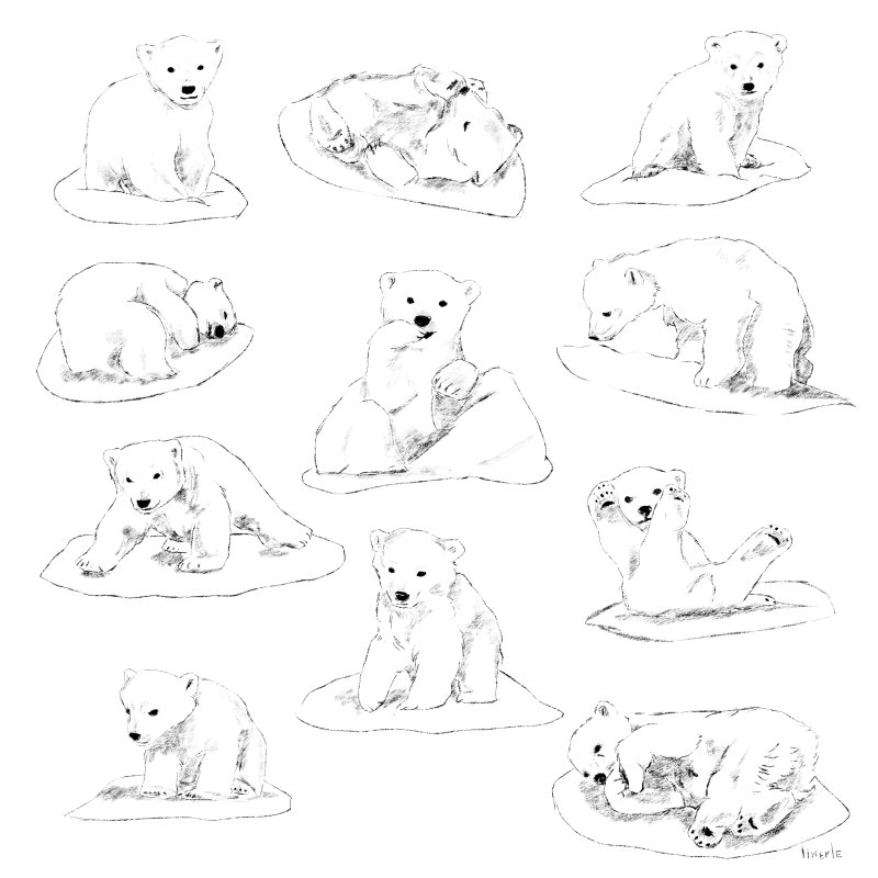 Нарисовать белого медвежонка