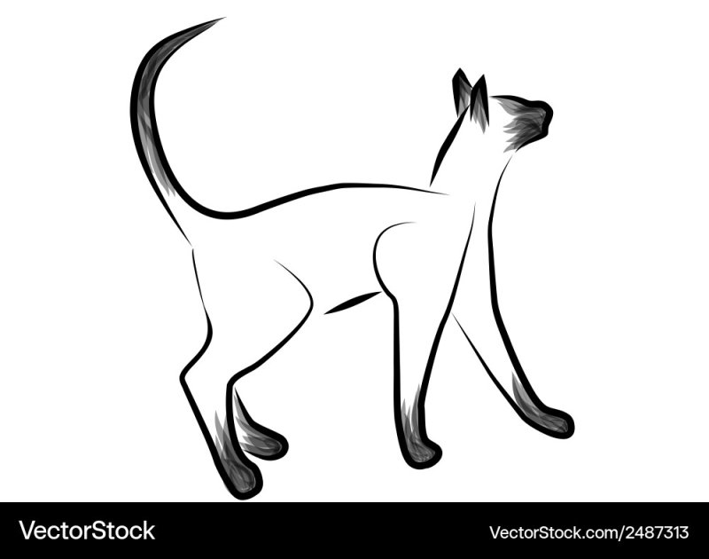 Раскраска котик сиамский
