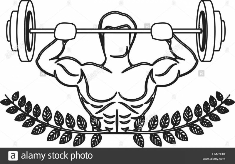 Штангист вектор