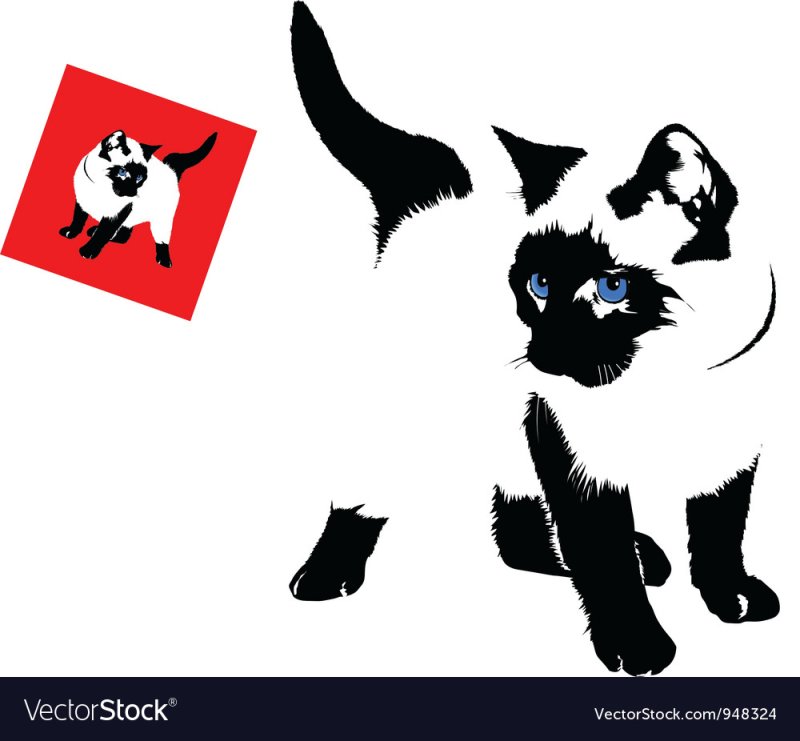 Силуэт сиамской кошки