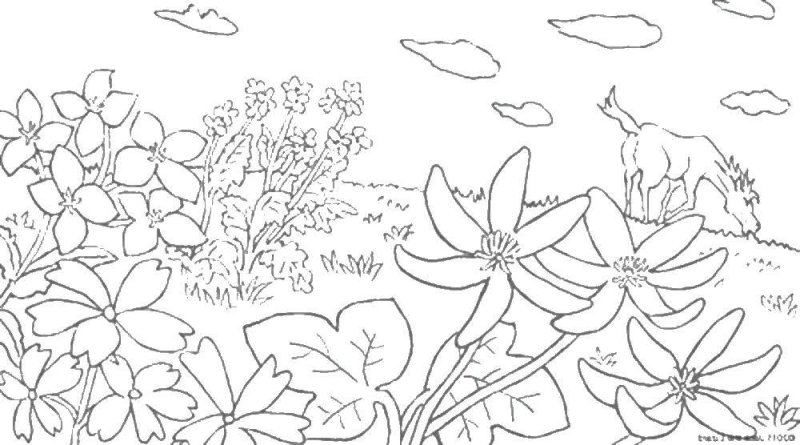 Цветочная Поляна раскраска для детей
