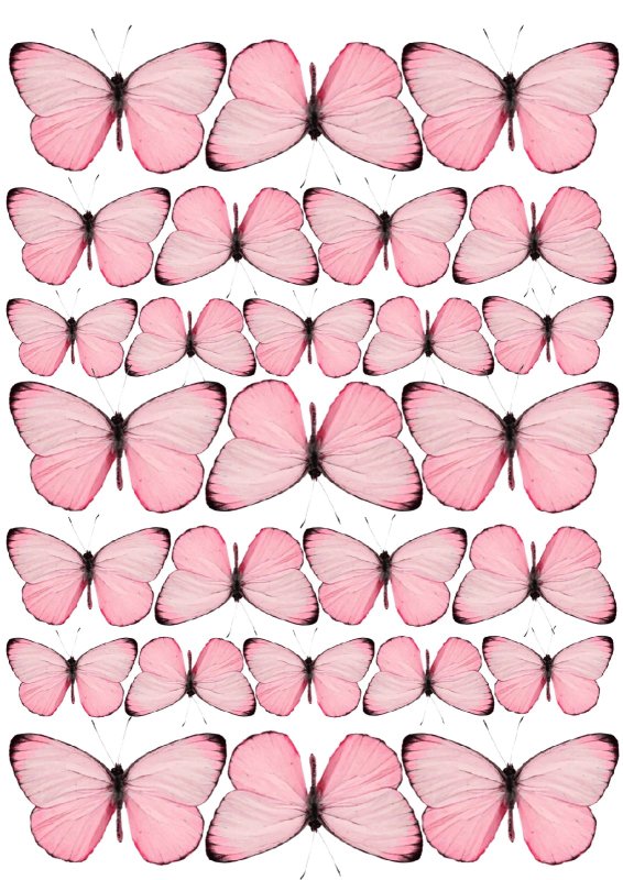 Бабочки розовые