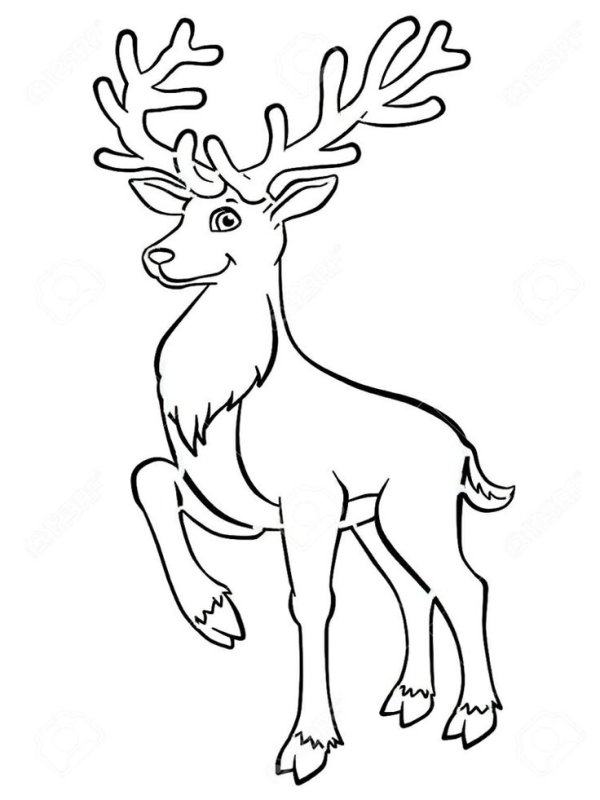 Олень раскраска для детей