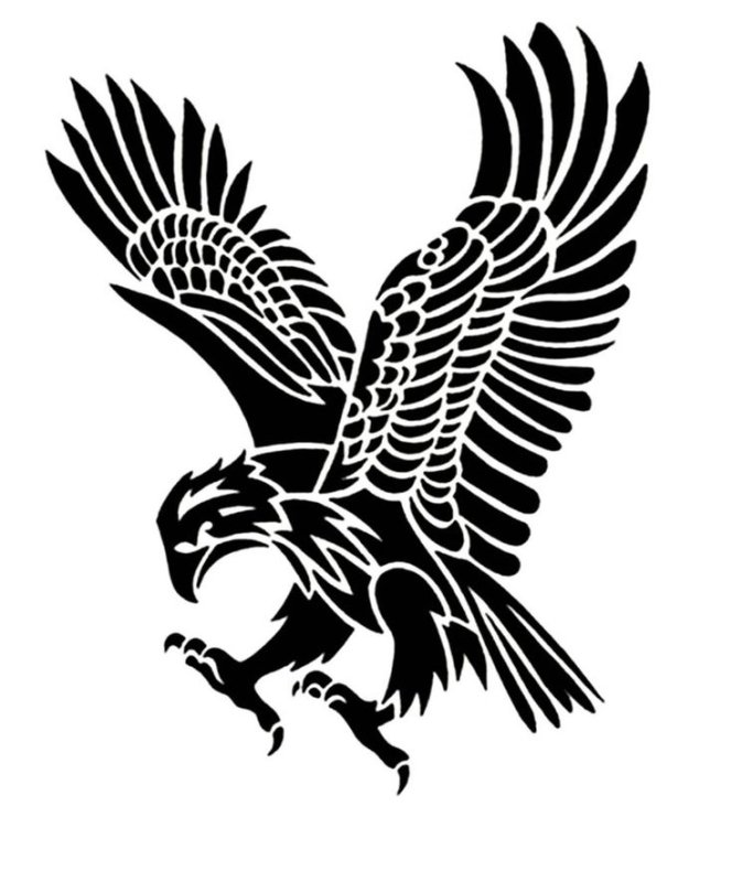 Ястреб трайбл