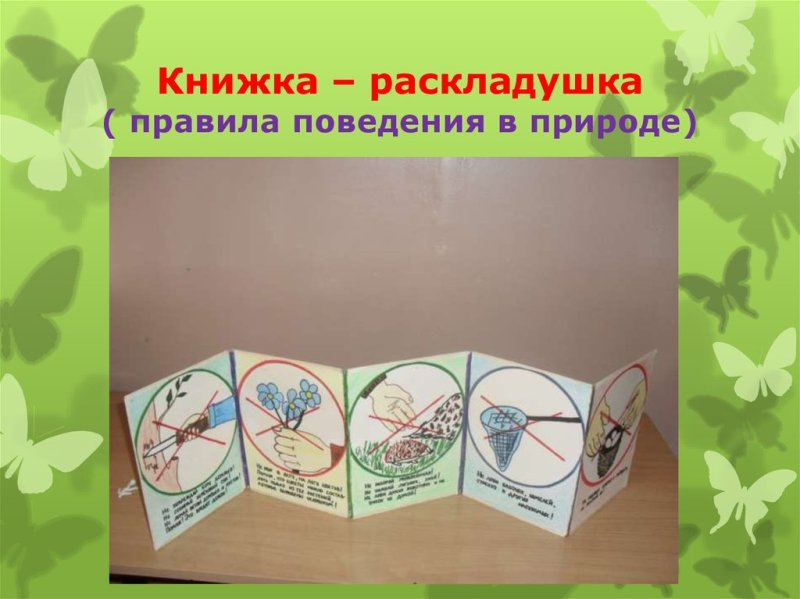 Книжка раскладушка