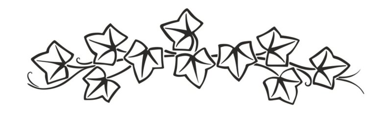 Лист плюща трафарет