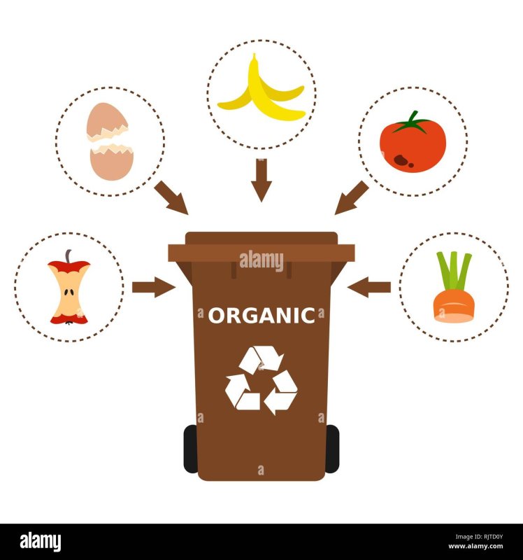 Пищевые отходы рисунок