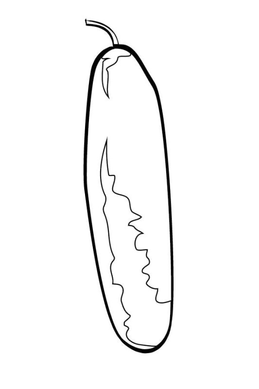 Овощи раскраска для детей