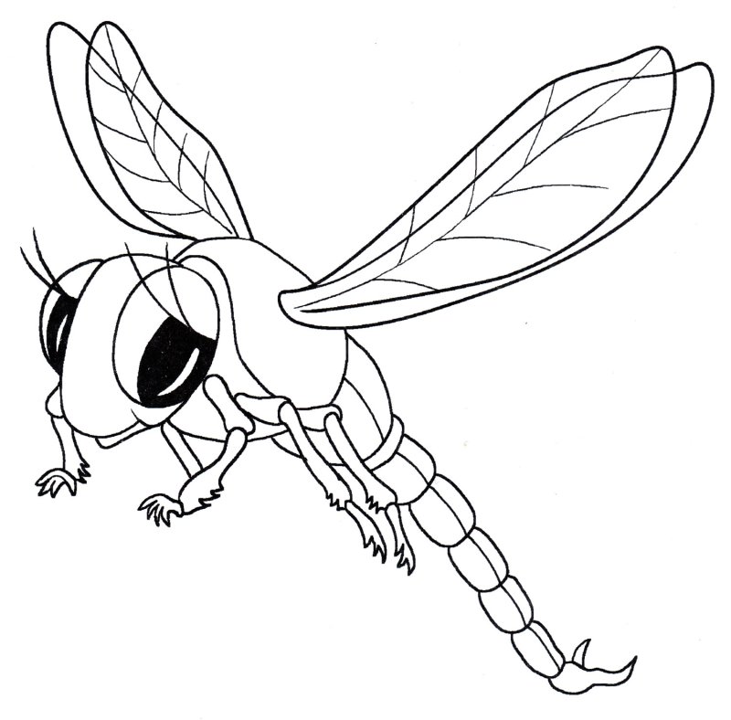 Насекомые раскраска для детей