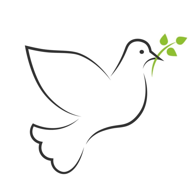 Голубь трафарет