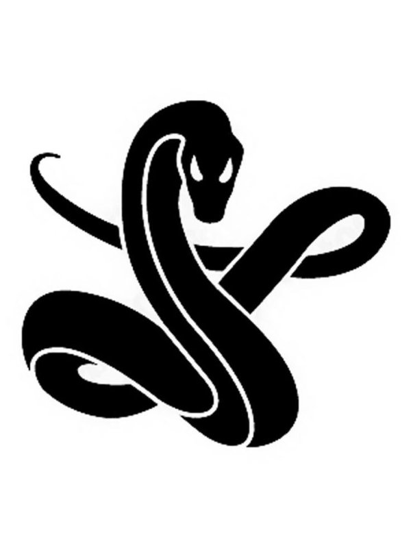 Стилизация змеи