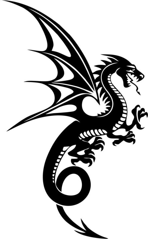 Контуры драконов