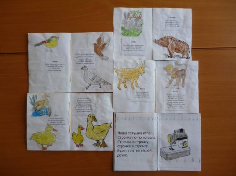 Сделать книжку малышку берегите животных