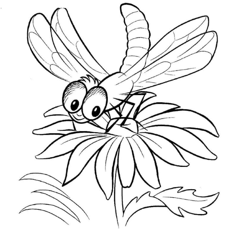 Раскраска насекомые для дошкольников